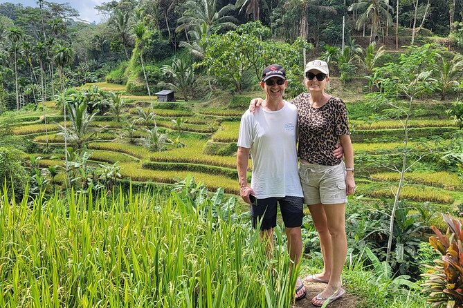 Bali Private Tour Ubud and Kintamani Including Lunch and Waterfall - Pricing Information