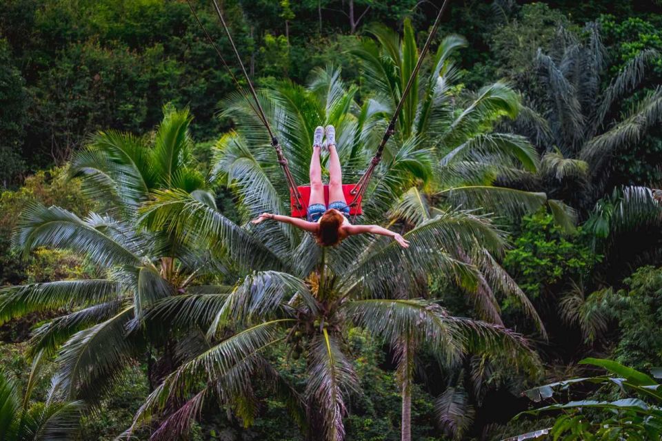 Bali: Ubud and Tanah Lot Small Group Guided Tour - Inclusions