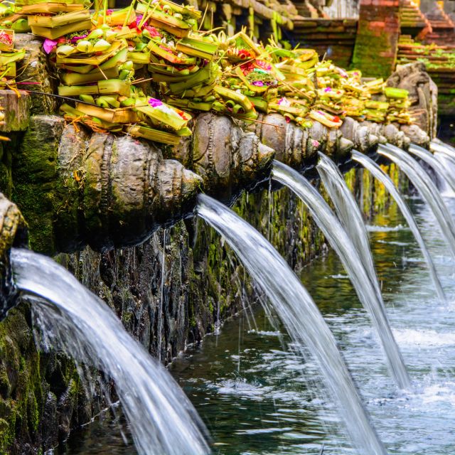 Bali: Ubud Unveiled Day Tour With Private Driver - Tegallalang Rice Terrace