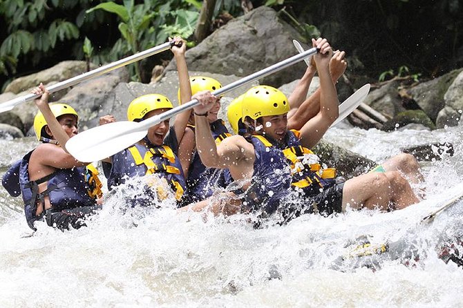 Bali White Water Rafting With Lunch - Suitable for All Levels