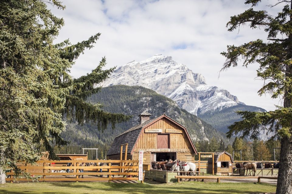 Banff: 3-Hour Bow Valley Loop Horseback Ride - Meeting Point and Arrival Time