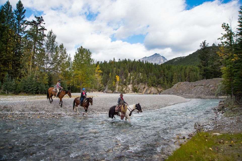 Banff: 4-Hour Sulphur Mountain Intermediate Horseback Ride - Admiring the Breathtaking Bow Falls