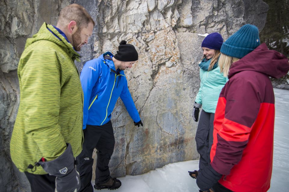 Banff: Grotto Canyon Icewalk - Small-Group Tour Experience