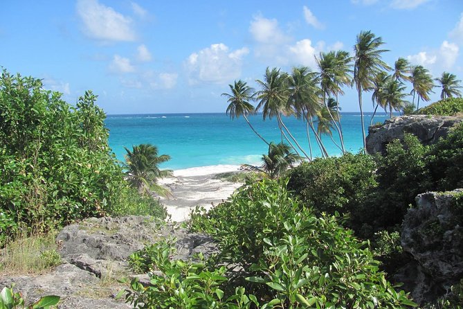 Barbados Full-day Coast to Coast Tour - Barbados Landscape and History
