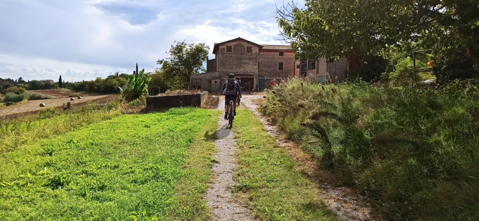 Bardolino: E-Bike Tour and Wine Tasting on the Hills - Indulging in Winery Hospitality