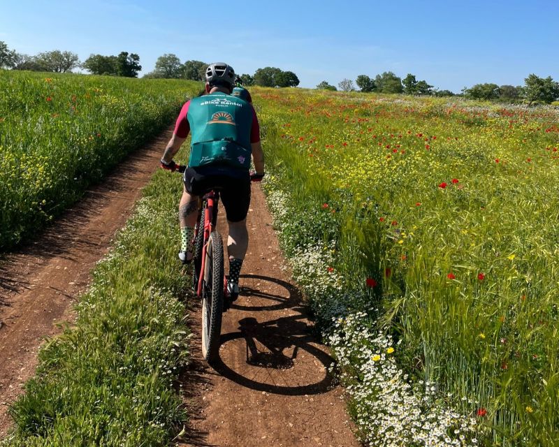 Bari: Ebike Excursion to the Mercadante Forest - Gastronomic Delights in the Forest