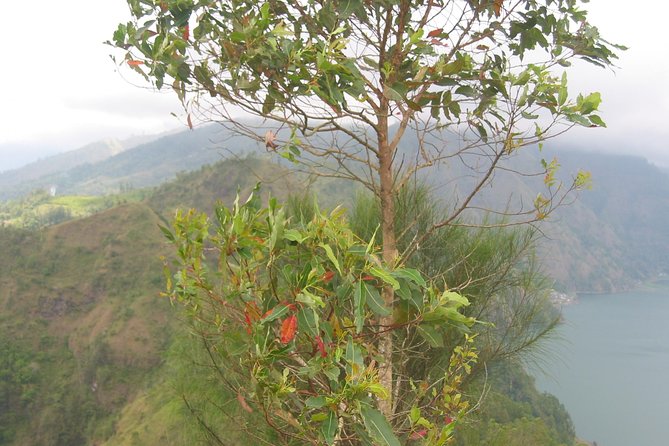 Batur Caldera Sunrise Trekking - Physical Requirements