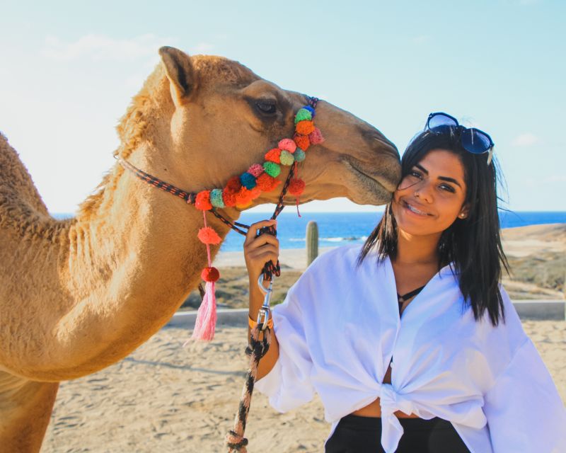 Beach Camel Ride & Encounter in Cabo by Cactus Tours Park - Pickup and Drop-off