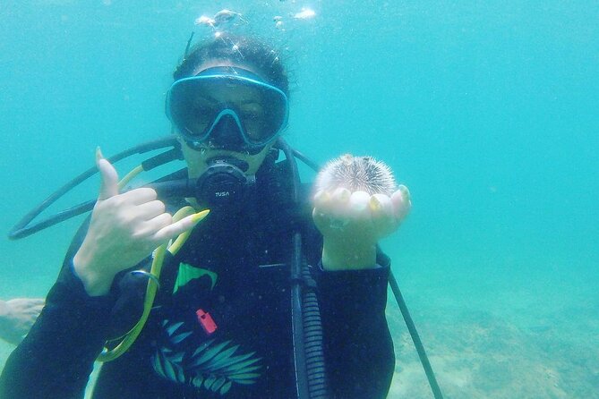 Beginner Scuba Diving Guided Tour - No Experience Required - Booking Process