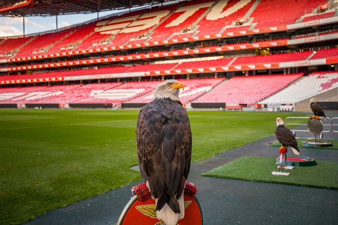 Benfica Stadium Tour and Museum Entrance Ticket - Stadium Tour Highlights