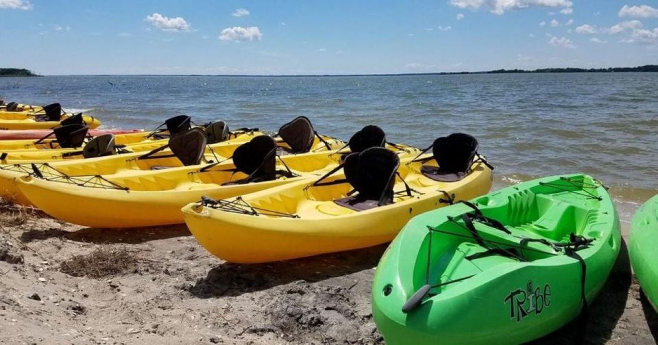 Berlin, MD: Full-, Half, or Quarter-Day Kayak Rental - Assateagues Diverse Ecosystem