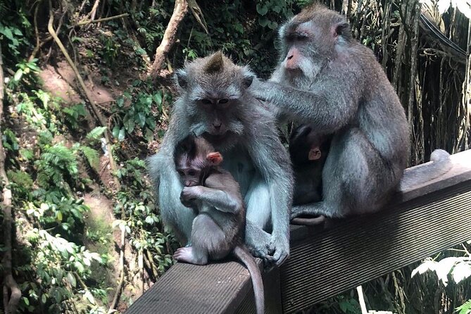 Best of Ubud With Monkey Forest, Rice Terrace, Temple, Waterfall - Strolling Through Manicured Temple Gardens