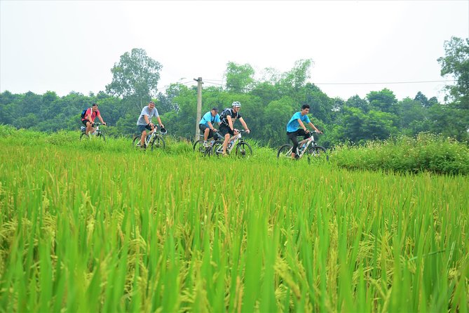 Bicycle Tours Hanoi: Full Day Bicycle Tour Hanoi Countryside - Cruising the Red River