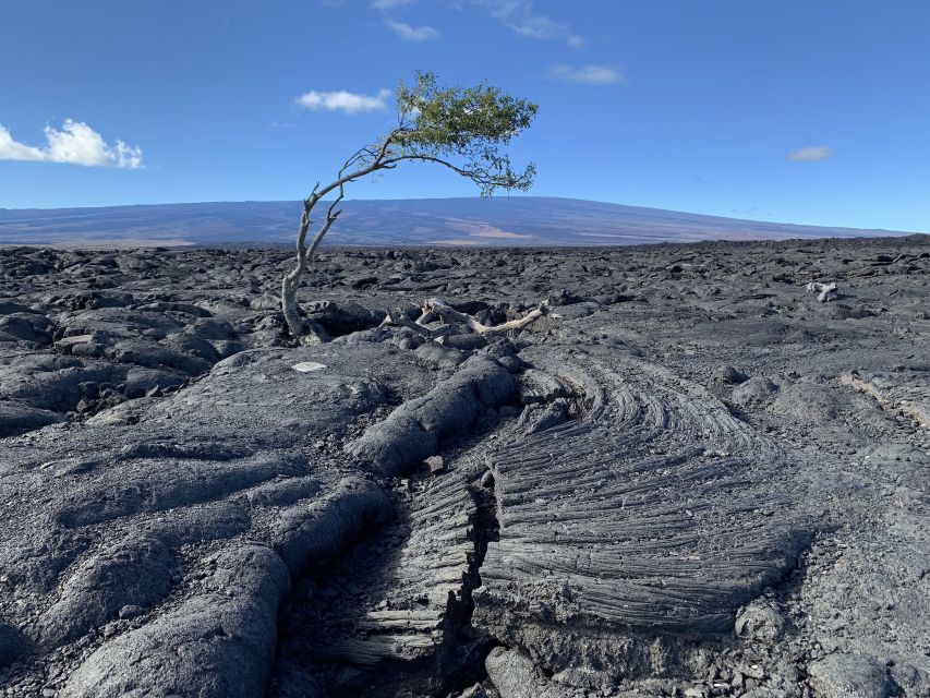 Big Island: Small Group Waterfalls Adventure - Kulaniapia Falls Experience