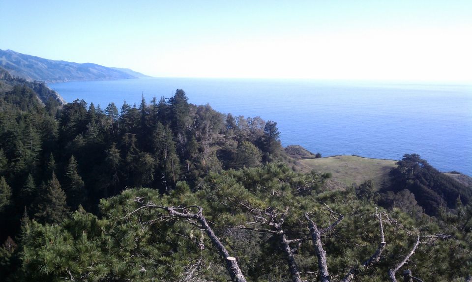 Big Sur: Sightseeing Tour With 4 to 5 Stops - Scenic Drive