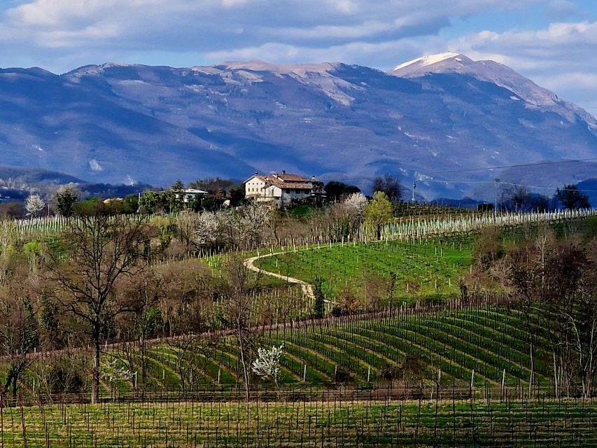 Bike and Coffee on Conegliano and Surrounding Hills - Inclusions and Restrictions