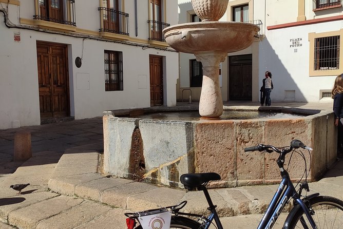 Bike Tour Córdoba - Accessibility and Restrictions