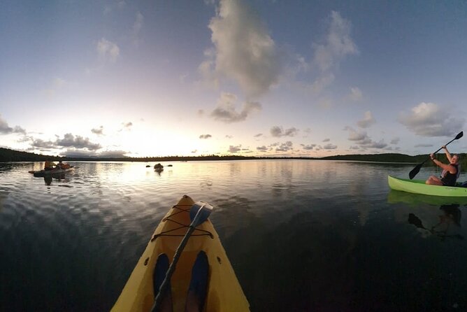 Bio Bay Night Kayaking | Laguna Grande, Fajardo - Participant Guidelines