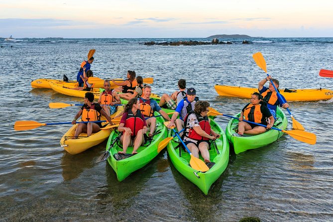 Bio Bay Night Kayaking With Transport From San Juan Area - Participant Reviews
