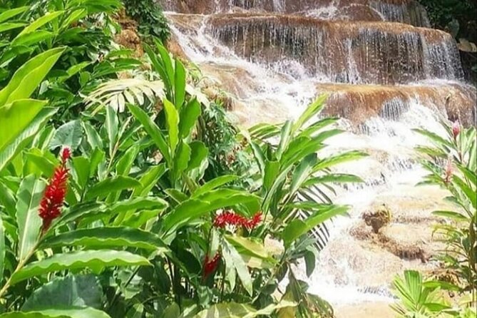 Blue Hole And Konoko Falls Combo Tour From Ocho Rios & Runaway Bay! - Customer Testimonials and Ratings