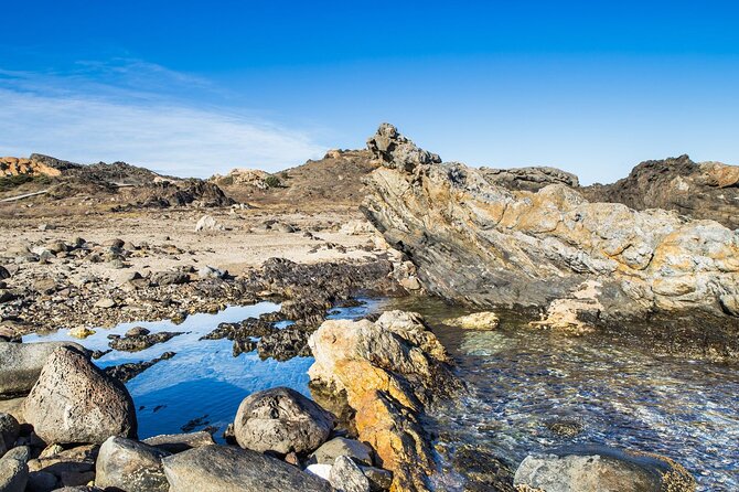 Boat Trip to Cap De Creus + Port Lligat + Cadaqués - Convenient Pickup and Drop-off