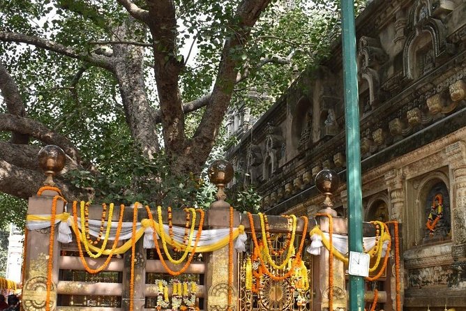 Bodhgaya Day Tour (Hotel Pickup) - Traveler Experience Highlights