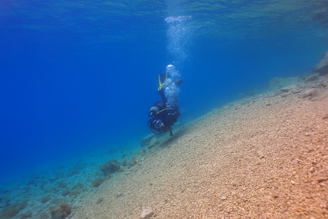 BRELA Bikini Dive *Try SCUBA DIVING* - Cancellation Policy