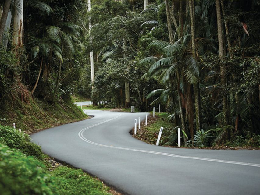 Brisbane: Daytime Glow Worm Caves Hop-on Hop-off Bus Tour - Important Information