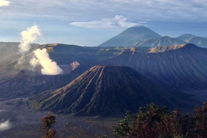 Bromo Sunrise Tour via Tumpang - Start Malang // 1 Day Tour - Important Information to Know