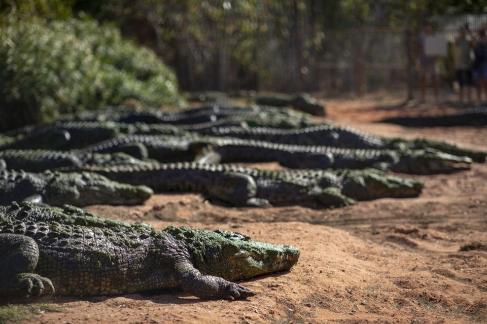 Broome: Matsos Brewery, Museum & Crocodile Park Combo Tour - Booking Information