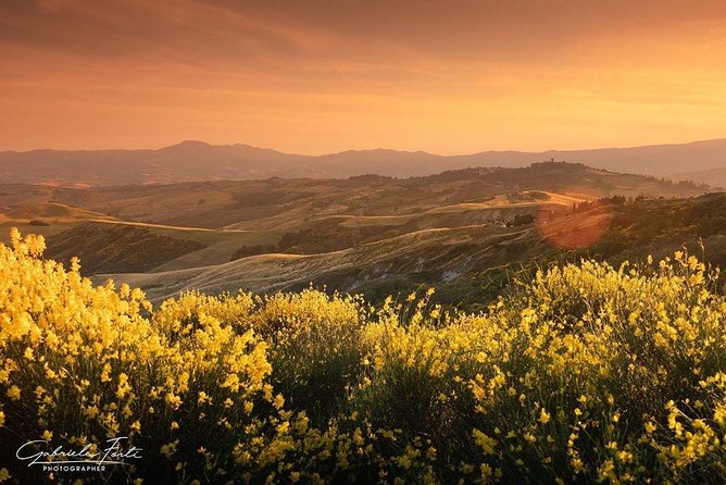 Brunello Wine Tour and Val D'orcia Landscape - Inclusions in the Tour