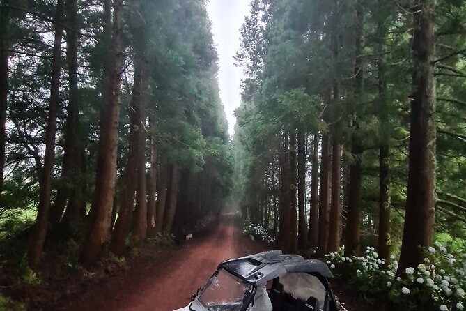 BUGGY TOUR - West / Center of the Island (Off-Road) - Exploring Forests and Fields