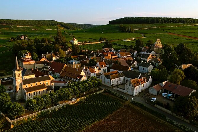 Burgundy Grand Crus Route Day Tour - 12 Wines Tastings in Domains - Logistical Details