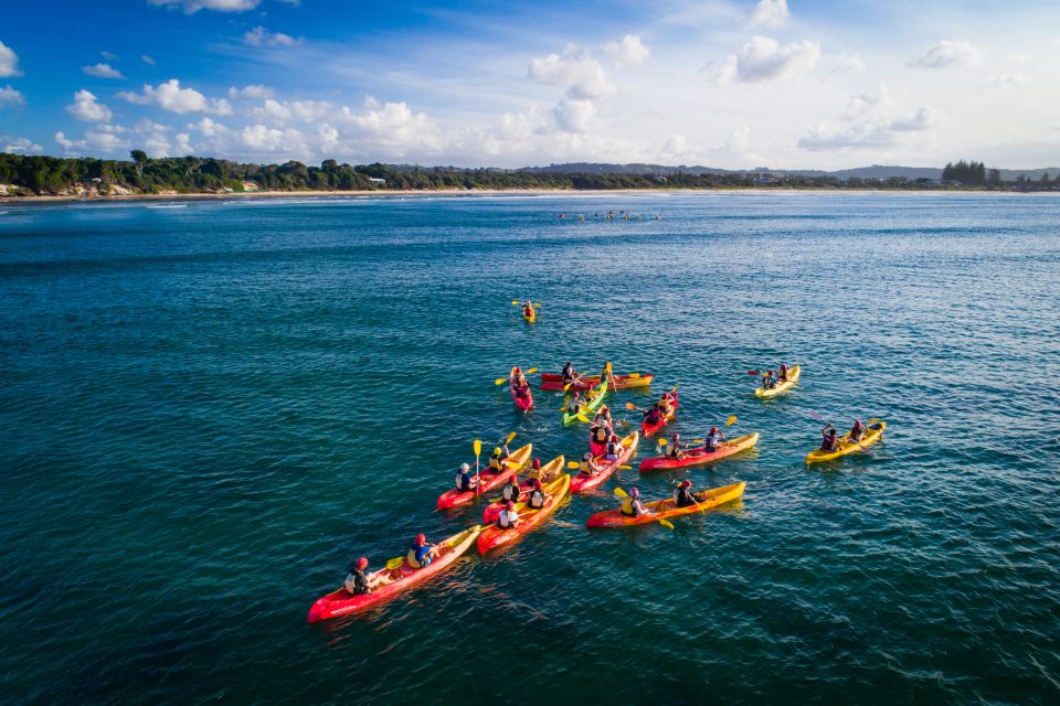 Byron Bay: Sea Kayak Tour With Dolphins and Turtles - Booking Information