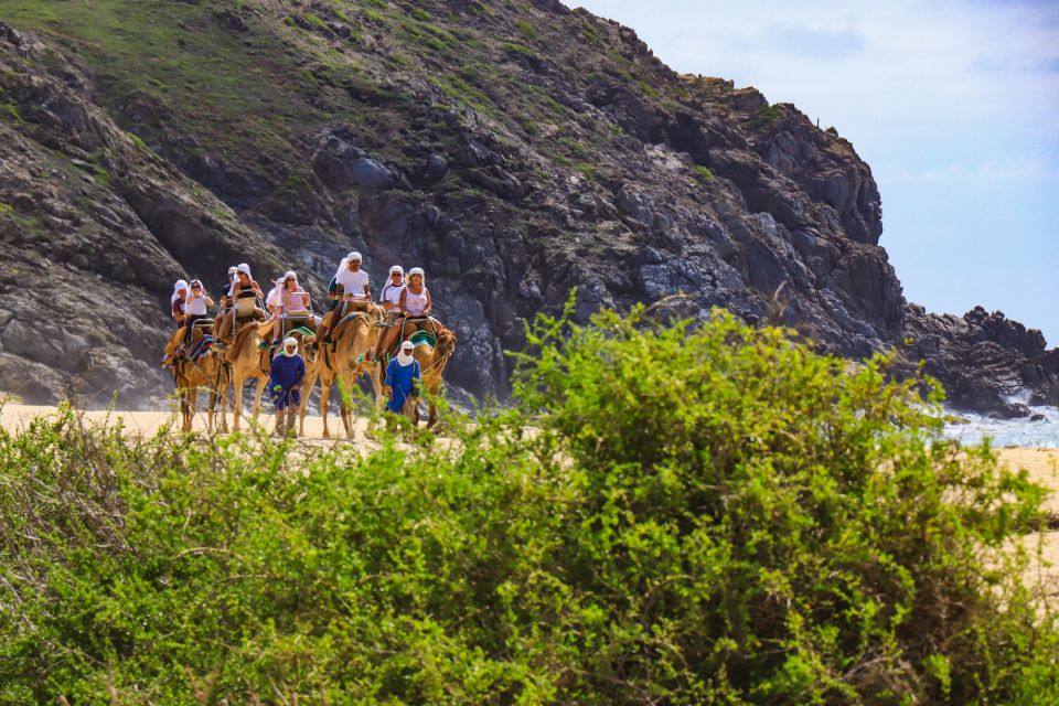 Cabo: ATV, Camel Ride, Mexican Lunch, and Tequila Combo Tour - Camel Ride on Deserted Beach