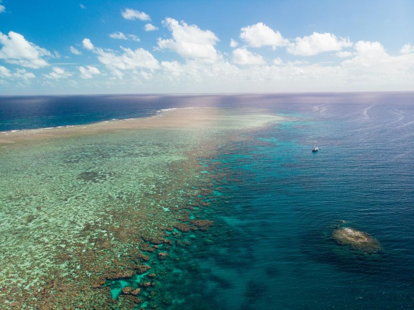 Cairns: 2-Day Great Barrier Reef Dive and Snorkel Boat Trip - Customer Reviews