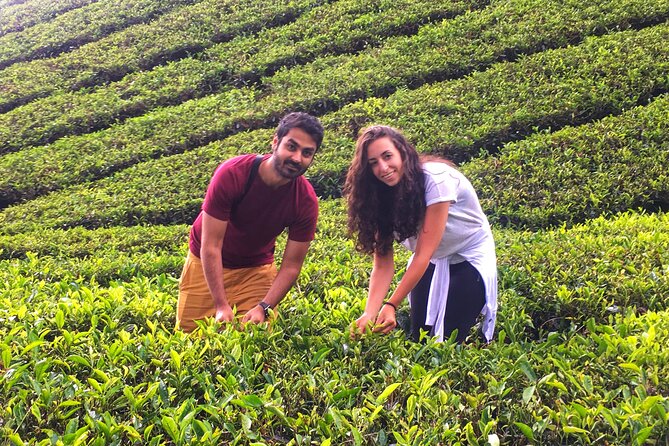 Cameron Highland Best Tour From Ipoh (Private Day Trip) - Considerations