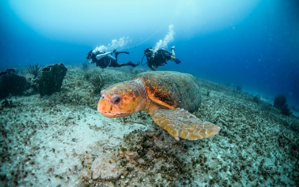 Cancún/Playa Del Carmen: Maroma Beach Advanced Diving Trip - Included Scuba Equipment and Amenities