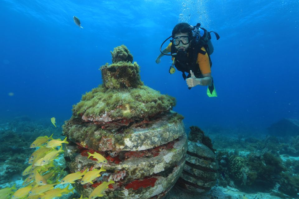 Cancun: Scuba Diving for Beginners, 2 Dives - Inclusions