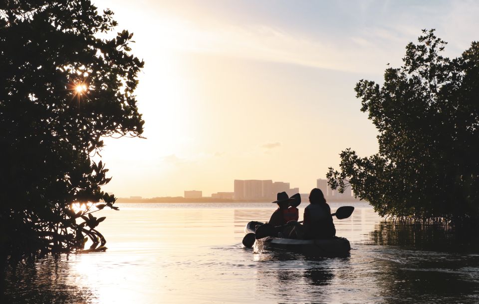 Cancun: Sunset Kayak Experience in the Mangroves - Restrictions