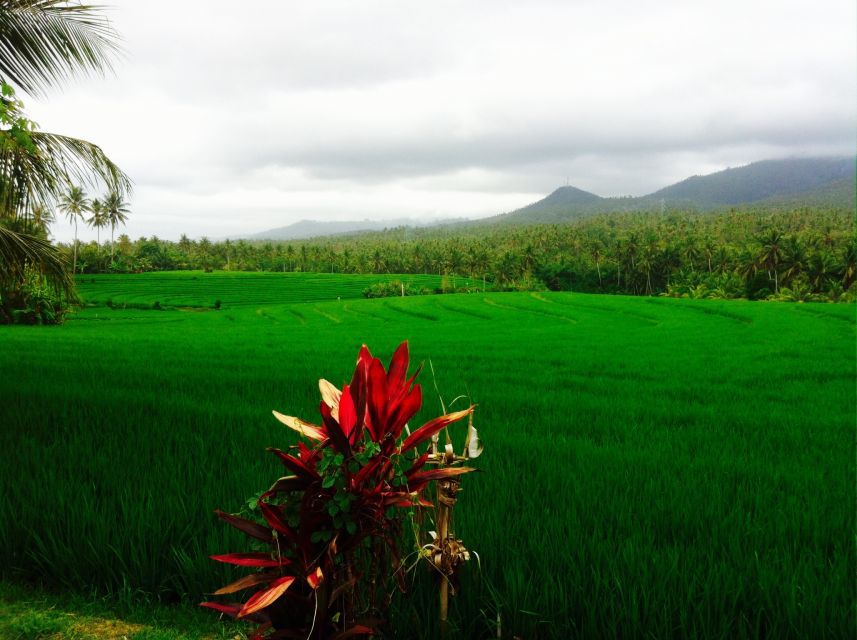 Canggu Surf Lesson & School - Location and Meeting Information