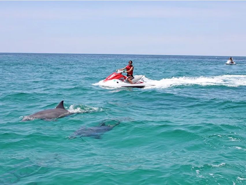 Cape Coral and Fort Myers: Wild Life Jet Ski Tour - Frequently Asked Questions