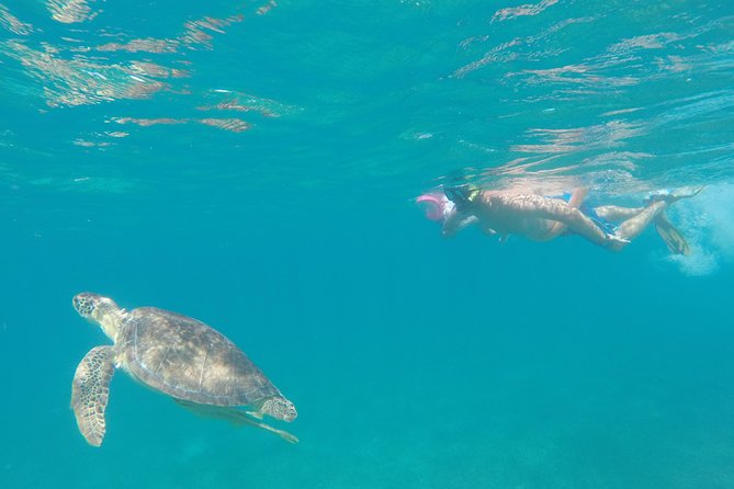 Captain Bob Speed Boat/Snorkeling/Beach Tour + Lunch St Maarten - Additional Information