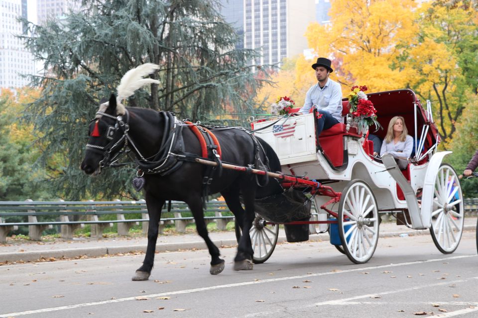 Carriage Ride To/From Tavern on the Green (Up to 4 Adults) - Activity Description