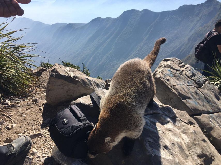 Cerro De La Silla Hiking Tour With Guide and Transfer - Restrictions for the Tour Participants