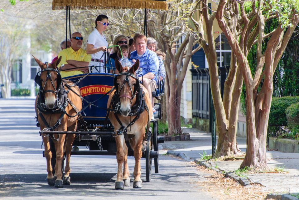 Charleston: 1-Hour Carriage Tour of the Historic District - Booking Information