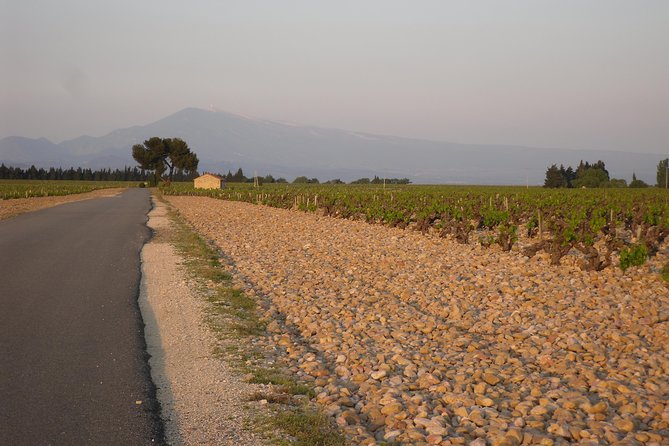 Chateauneuf-Du-Pape Prestige Wine Tour From Avignon - Renowned Winery Visit