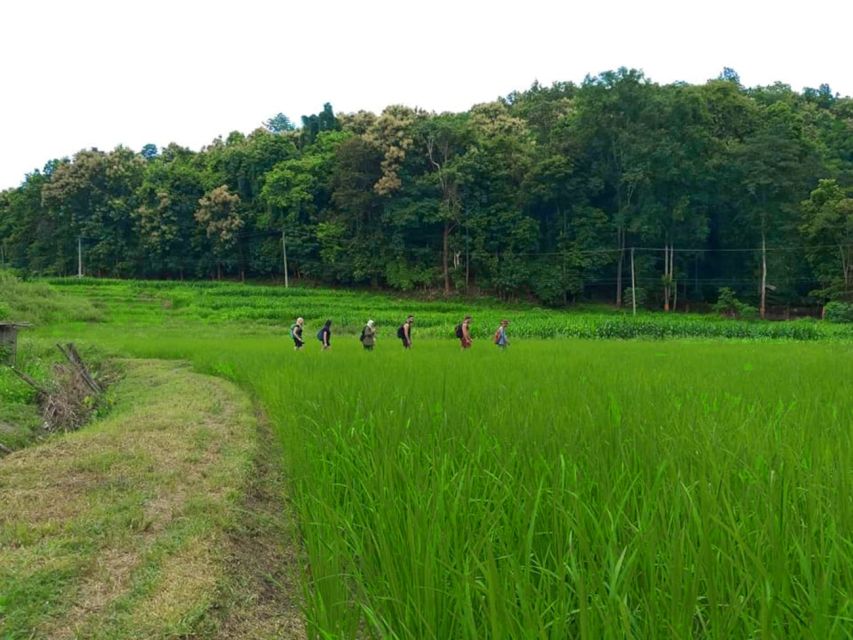 Chiang Mai: 2-Day Jungle Trek With Elephant Farm & Raft Ride - Bamboo Rafting Adventure