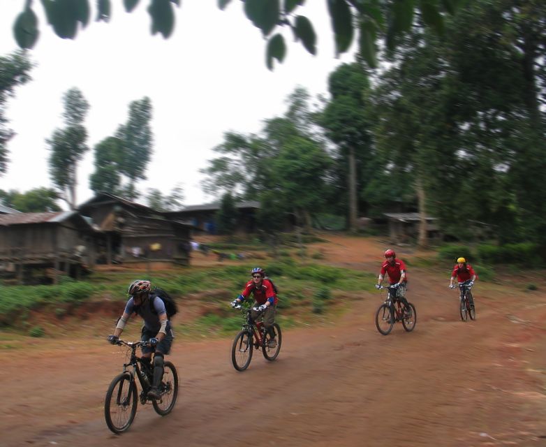 Chiang Mai: 20km Downhill Mountain Biking Challenge Suthep Mountain - Safety and Gear