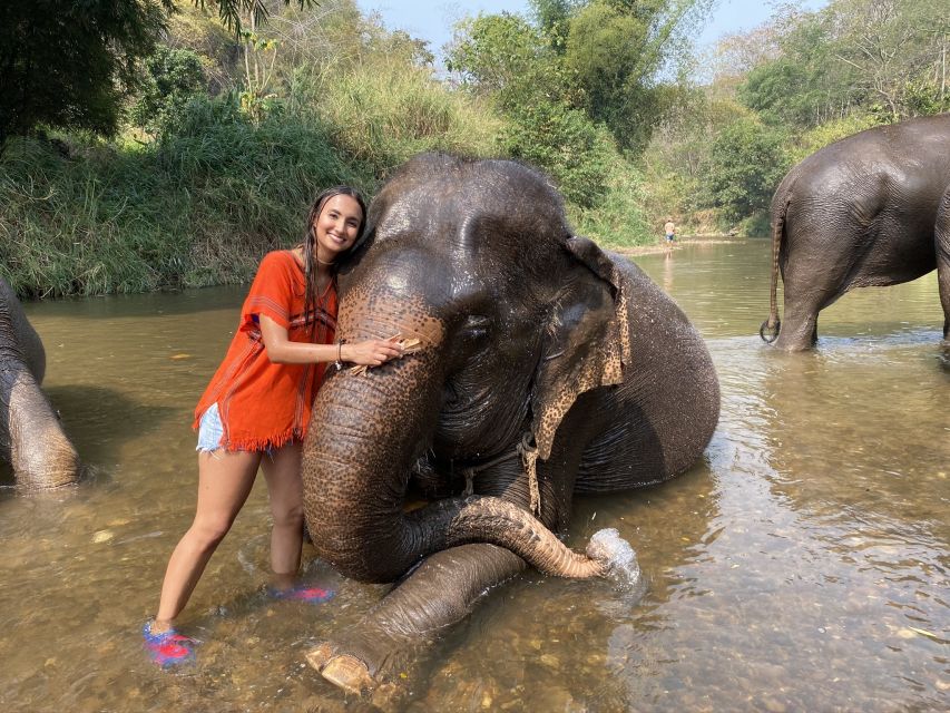 Chiang Mai: Elephant Sanctuary and Sticky Waterfall Tour - Buatong Sticky Waterfall